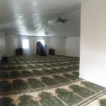 Mosque Inside Prayer Area